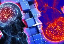 Memory errors may indicate a way in which the human cognitive system is optimally running