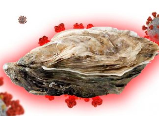 Antiviral activity of Pacific oyster hemolymph against a human coronavirus – HCoV-229E