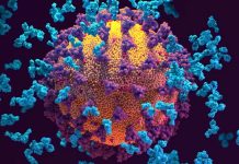 SARS-CoV-2 ORF8 encoded protein contains a histone mimic that disrupts the human host cell epigenetic and chromatin regulation