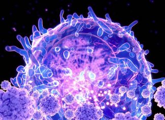 SARS-CoV-2 infection causes immunodeficiency in recovered patients