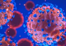 COVID-19: the arginylation inhibitor merbromin (MER) is also capable of both reducing viral load and reducing ATE1 levels