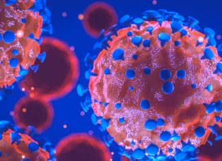 COVID-19: the arginylation inhibitor merbromin (MER) is also capable of both reducing viral load and reducing ATE1 levels