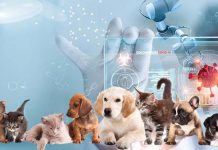 La variante SARS-CoV-2 Alpha (B.1.1.7) è in grado di infettare animali domestici come cani e gatti e causare una varietà di anomalie cardiache