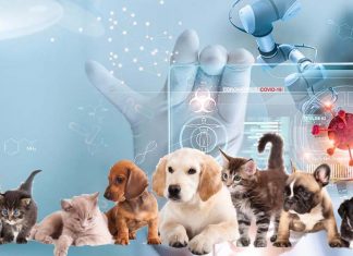 La variante SARS-CoV-2 Alpha (B.1.1.7) è in grado di infettare animali domestici come cani e gatti e causare una varietà di anomalie cardiache