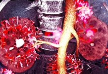 SARS-CoV-2 Can Directly Invade Human Kidney Causing Acute Injury
