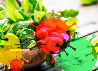 Phytochemical Eugenol extracted from Holy Basil and Cloves is effective against the COVID-19 disease