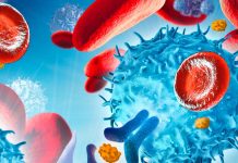 SARS-CoV-2: The amount of viral RNA in the blood is a reliable indicator in detecting which patients will die of the disease