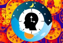 The significant role that an irregular body clock plays in driving inflammation in the body’s immune cells