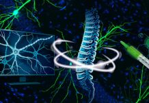 New injectable therapy repairs tissue damage and reverses paralysis
