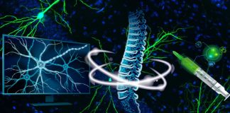 New injectable therapy repairs tissue damage and reverses paralysis