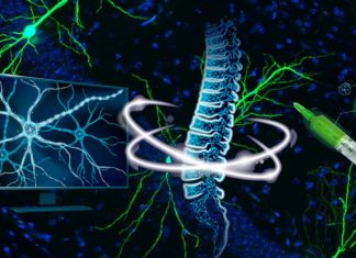 New injectable therapy repairs tissue damage and reverses paralysis