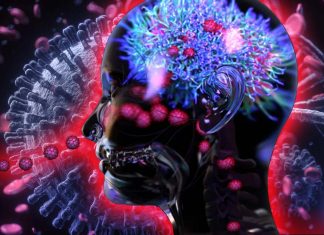 COVID-19: targeting cells in the nose to fight serious illness