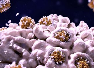 Chronic COVID-19 may affect up to 30% of all infected individuals