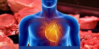 In che modo la carne rossa aumenta il rischio di malattie cardiovascolari?