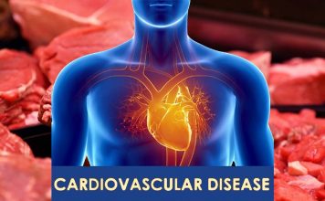 How does red meat increase risk cardiovascular disease ?