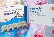 The drug combo Ivermectin and Niclosamide can inhibit the replication of the SARS-COV-2
