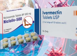 The drug combo Ivermectin and Niclosamide can inhibit the replication of the SARS-COV-2