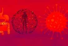 Qual è il legame tra HIV/AIDS/COVID-19 e microbioma?