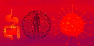 Qual è il legame tra HIV/AIDS/COVID-19 e microbioma?