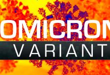 COVID-19: Omicron potrebbe essere un virus ricombinato contenente frammenti di materiale genetico del virus del raffreddore comune