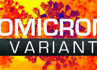 COVID-19: Omicron potrebbe essere un virus ricombinato contenente frammenti di materiale genetico del virus del raffreddore comune