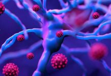 SARS-CoV-2 N Proteins Hijacks Human 14-3-3 Proteins With Implications Of Future Rise In Neurological And Psychiatric Issues