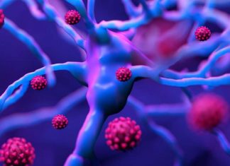 SARS-CoV-2 N Proteins Hijacks Human 14-3-3 Proteins With Implications Of Future Rise In Neurological And Psychiatric Issues