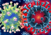 SARS-CoV-2 VOC: New Rapid Test
