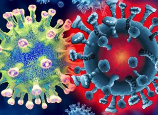 SARS-CoV-2 VOC: New Rapid Test
