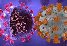 Incorporating SARS-CoV-2 Viral Polymerase Protein In Vaccines Can Elicit Better T Cell Response And Make Vaccines Better