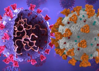 Incorporating SARS-CoV-2 Viral Polymerase Protein In Vaccines Can Elicit Better T Cell Response And Make Vaccines Better