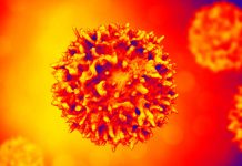 4′-FlU: novel broad-spectrum antiviral drug class with activity against SARS-CoV-2