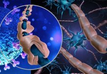 COVID-19: J&J Vaccine Is Linked To Increased Risk Of Guillain-Barré Syndrome
