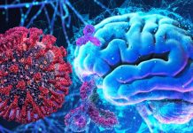 SARS-CoV-2 Contains Amyloidogenic Peptide Fragments That Are Neurotoxic To Human Hosts