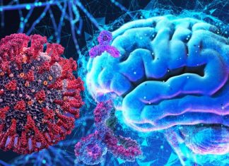 SARS-CoV-2 Contains Amyloidogenic Peptide Fragments That Are Neurotoxic To Human Hosts
