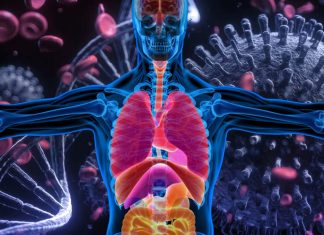SARS-CoV-2 viral persistence throughout the human body and brain even in asymptomatic
