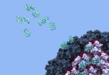 COVID-19: Researchers Uncover Mystery of Blood Clots Linked to Adenovirus Vaccines