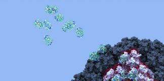 COVID-19: Researchers Uncover Mystery of Blood Clots Linked to Adenovirus Vaccines