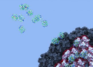 COVID-19: Researchers Uncover Mystery of Blood Clots Linked to Adenovirus Vaccines