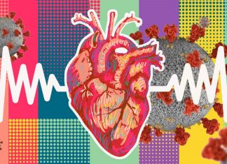 SARS-CoV-2 infection is associated with increased risk of late cardiovascular outcomes