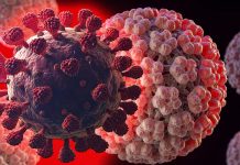 Covid-19 – Omicron Variant Cause HPV And Oncogenic HPV Reactivation