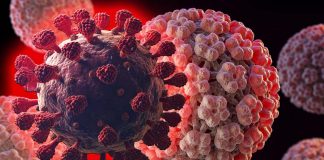 Covid-19 – Omicron Variant Cause HPV And Oncogenic HPV Reactivation