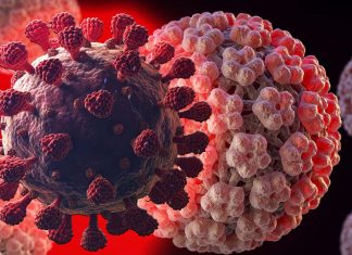Covid-19 – Omicron Variant Cause HPV And Oncogenic HPV Reactivation