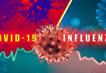 Pre-Existing Human Common Cold Coronavirus Antibodies Actually Negatively Impacts SARS-CoV-2 immunity