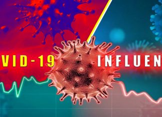 Pre-Existing Human Common Cold Coronavirus Antibodies Actually Negatively Impacts SARS-CoV-2 immunity