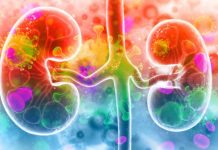 SARS-CoV-2 infects the kidneys and contributes to tissue scarring