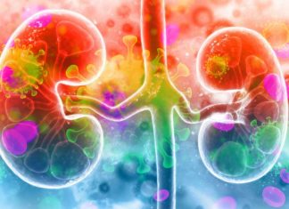 SARS-CoV-2 infects the kidneys and contributes to tissue scarring