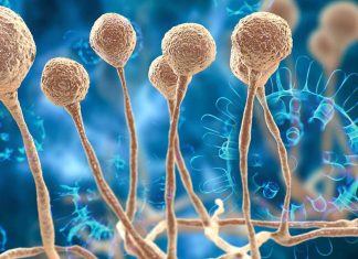 Deadly mucormycosis known as ‘black fungus’ disease spotted in Americans with COVID-19