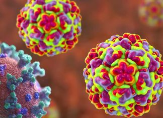 Co-Infections Involving SARS-CoV-2 And Human Rhinovirus Typically Results In Severe Health Outcomes