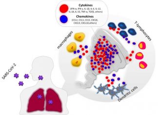 Scientists have identified unique indicators in the blood of patients with severe and fatal COVID